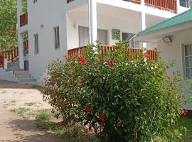 Blissful hill top Apartment