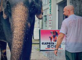 Elepath Lodge Pinnawala