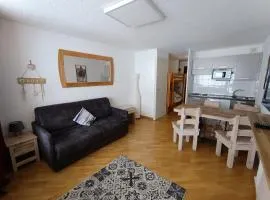 Studio rénové sur les pistes - 4 pers - Balcon - Parking - Animaux admis - FR-1-445-146