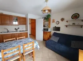 Appartement 4 pers, Vue Montagne, Animaux Acceptés - FR-1-445-78