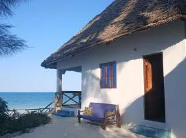 Oasis Beach Inn