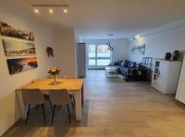 Ferienapartment Aue