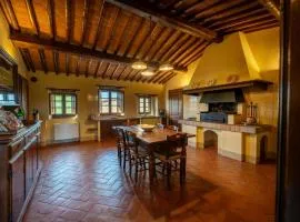 Podere Collupino