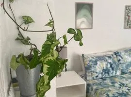 Corner Cottage - All to yourself