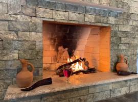 Villa Baqs in Racha，位于安布罗劳里的旅馆