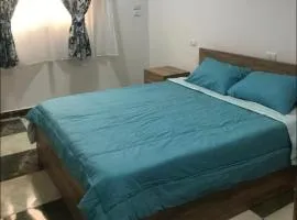 Dream Apartment 4