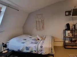 T1 rénové 29 m2 cosy confort !