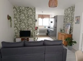 Appartement cosy en plein centre ville