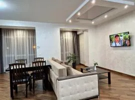 Modern apartment on Belvedere