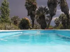 Palmares al cerro