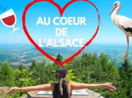 Plaisirs d'Alsace - Munster - Colmar - Route du vin