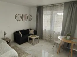 Studio spacieux ,chaleureux et cosy
