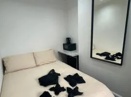 London zone 2 Private room