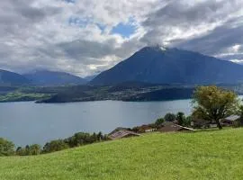 Lakeview Lodge Ferienwohnung Aeschlen ob Gunten am Thunersee