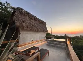 La Arbolita