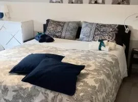 SOPHIE HOME Torino, Nuovissima vicino Juventus Stadium