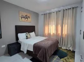 Zachi Zebra Apartment