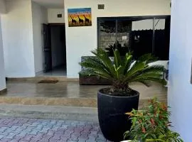 Zachi Zebra Apartment