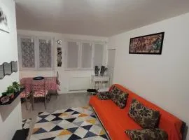 Cozy studio, proche gare des aubrais