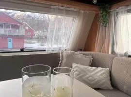 Cozy Camper