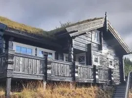 Luxurious 4 bedroom Mountain Cabin with Gaustatoppen View