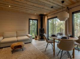 Patonkila, acomoda&ccedil;&atilde;o em Yll&auml;s