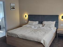 Apartamenty Gościnne CMN BERTA ROGUS，位于普泽兹弥耶洛瓦的旅馆