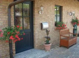 Holiday home in Waren with swimming pool
