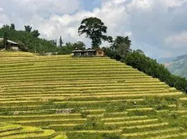 Best View Homestay
