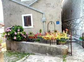 Apartment Merikanić