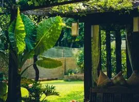 Đến Nơi Có Gió - Homestay And Coffee