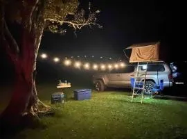 Island Escape Plus Rooftop Tent Camper