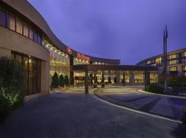 Hilton Washington Dulles Airport
