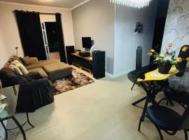 Apartamento Completo Centro SJC - 3 quartos