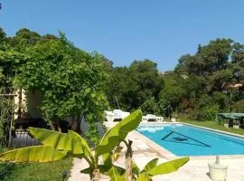 Chalet et Mobile Home, au sein du maquis Corse avec piscine PRIVATIVE 9mx4m