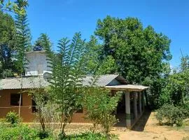 Birds Sanctuary Home Stay