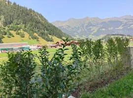 Studio 5min Blausee / 20min Interlaken / WIFI