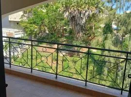 Serena Beach Road Apartment