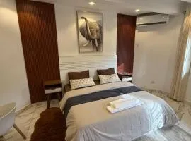logement luxueuse au pieds du monument de la renaissance africaine