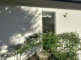 Il Gelsomino