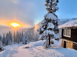 Cozy cabin apartment, ski-in ski-out at Kvitfjell, H&uuml;tte in Kvitfjell