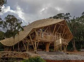 KaatiKaadu