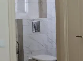 апартаменти в карпатах