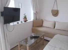casa zeituna