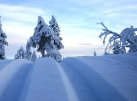14 - Fulufjellets nasjonalparker - Natur-, dyre- og fugleopplevelser