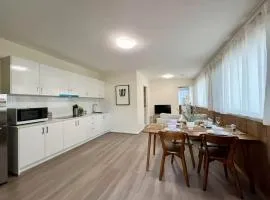 Private Spacious Studio King Bed Walk to Hubs