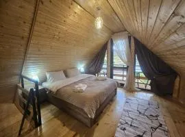 Shelva Cottage kazbegi