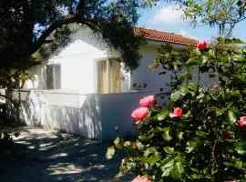 Pension Zoi