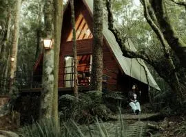 Cabana na Serra Rs