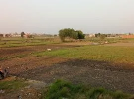 Egyptian country house